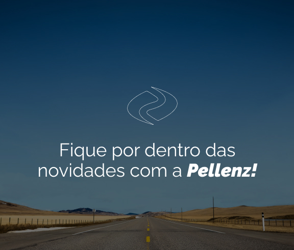 Pellenz Transporte Nacional e Internacional