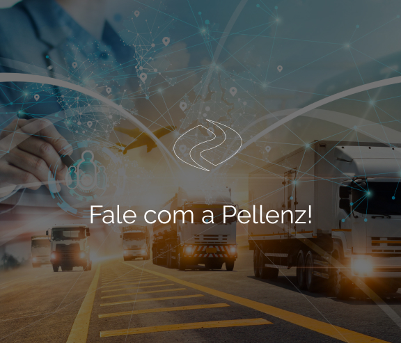 Pellenz Transporte Nacional e Internacional
