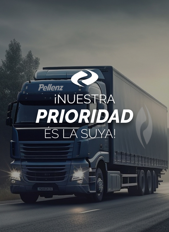 Pellenz Transporte Nacional e Internacional