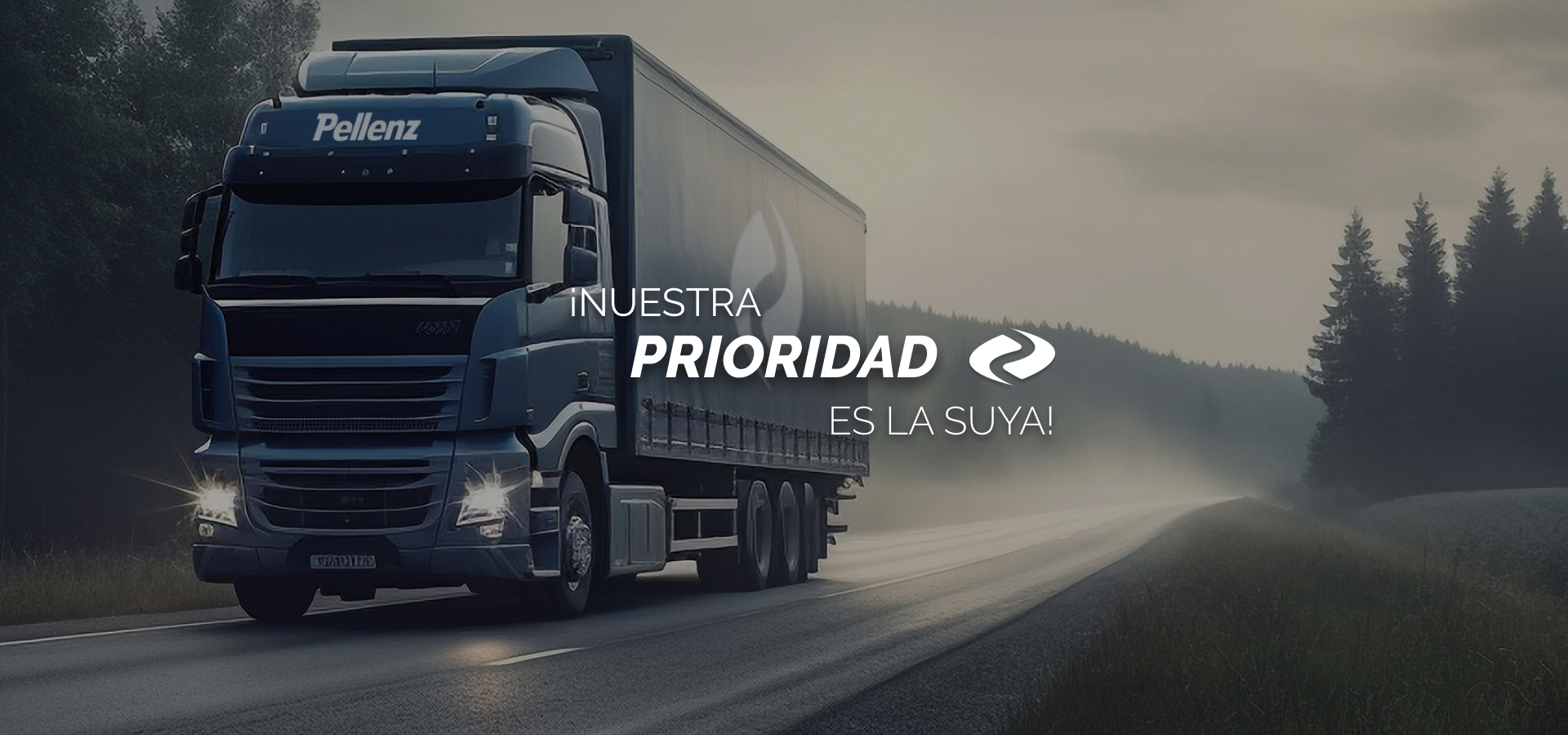 Pellenz Transporte Nacional e Internacional