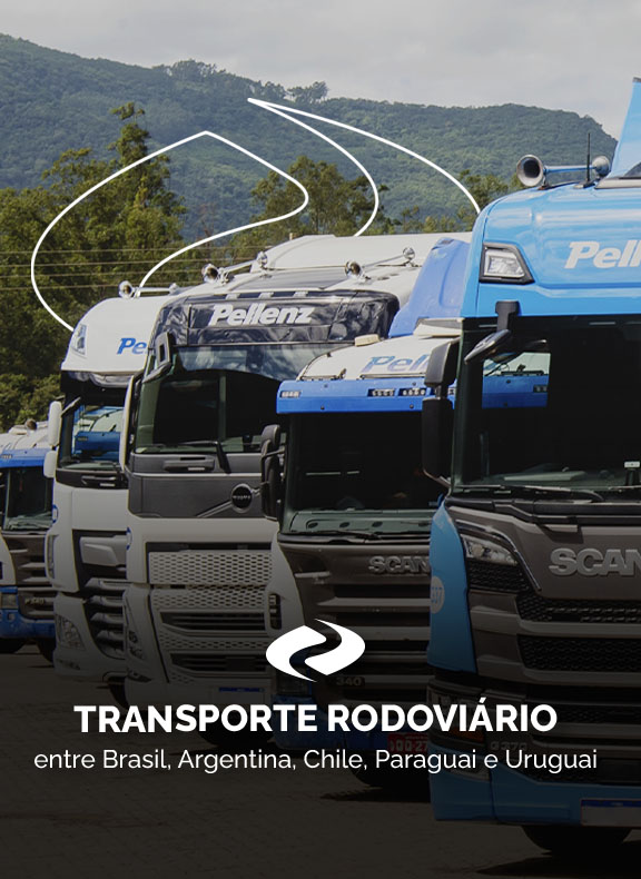 Pellenz Transporte Nacional e Internacional